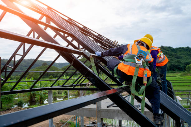 Best Roof Gutter Cleaning  in Grove, OK